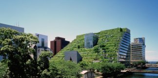 Yeşil Binalar Yaygınlaşıyor!