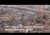 0Yaşam Alanı Yok Edilen Orangutanın Kepçeye Tepkisi