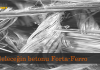 Forta-Ferro nedir?