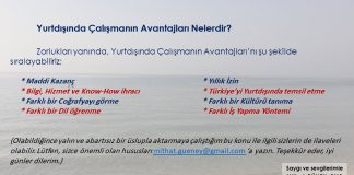 Yurtdışında Çalışmanın Avantajları Nelerdir?