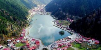 Uzungöl’de Yıkımlar Başlıyor Uzungöl'de kentsel dönüşüm
