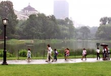 Koronavirüs ve mimari