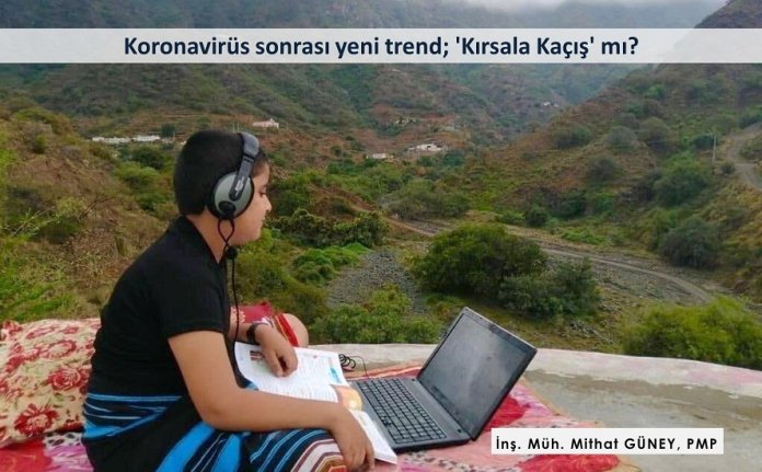 kirsala kacis