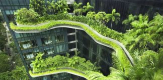 Doğayı tasarım ile evinize getiren peyzaj fikirleri!