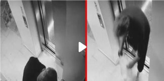 Komşuya Emsal Karar!